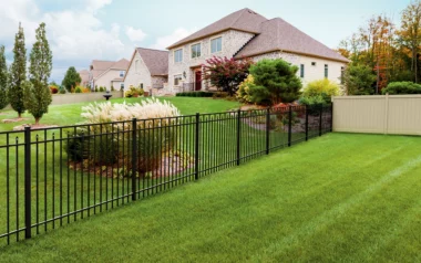 Augustine fence between back yards