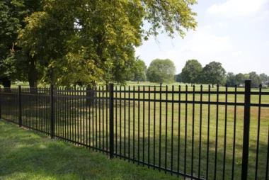 Georgetown spear top picket fence in black around large green space