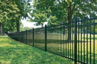 Georgetown spear top picket fence in black along property line