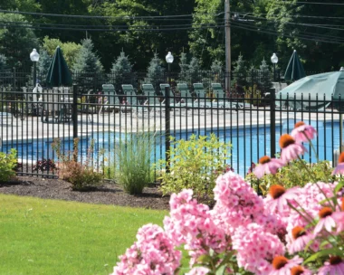 black aluminum picket fence around pool area