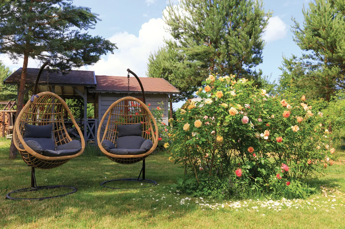 hanging basket seats in back yard