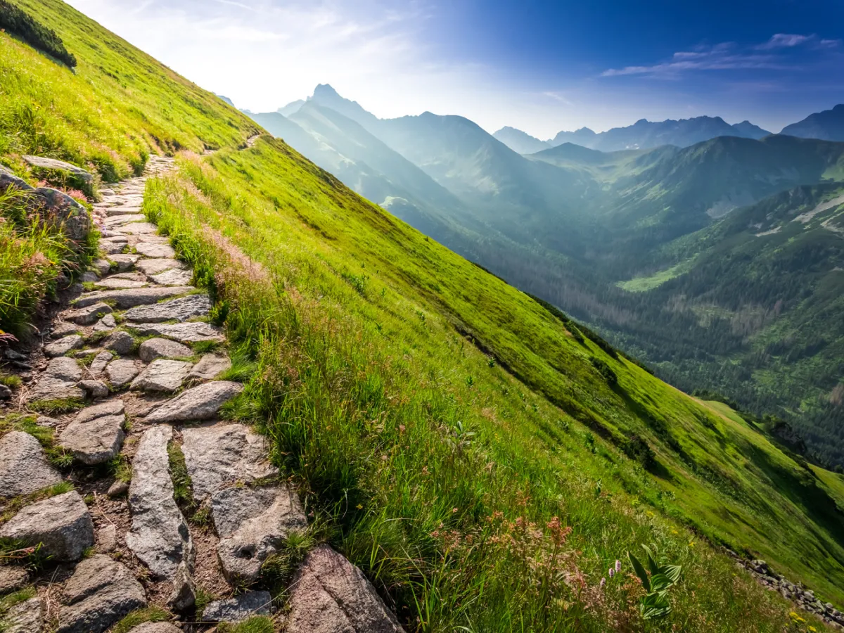 mountainside stone path
