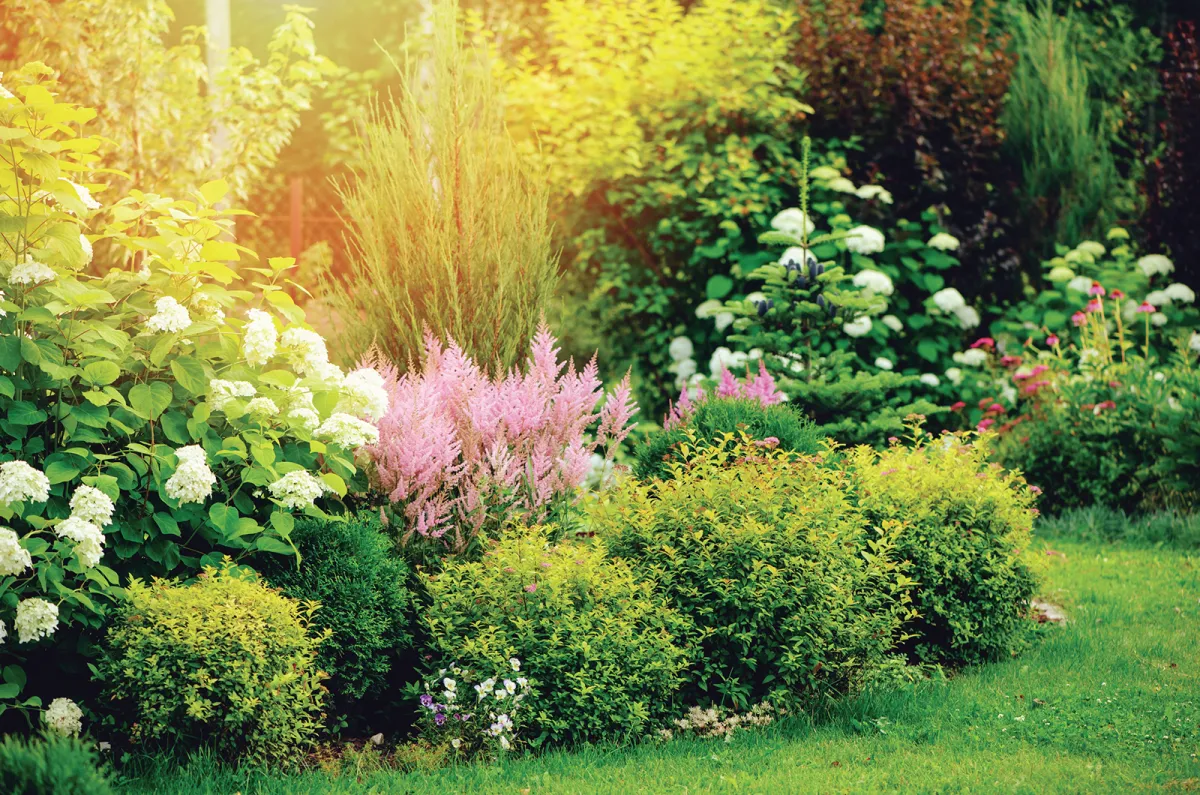 outdoor flower garden