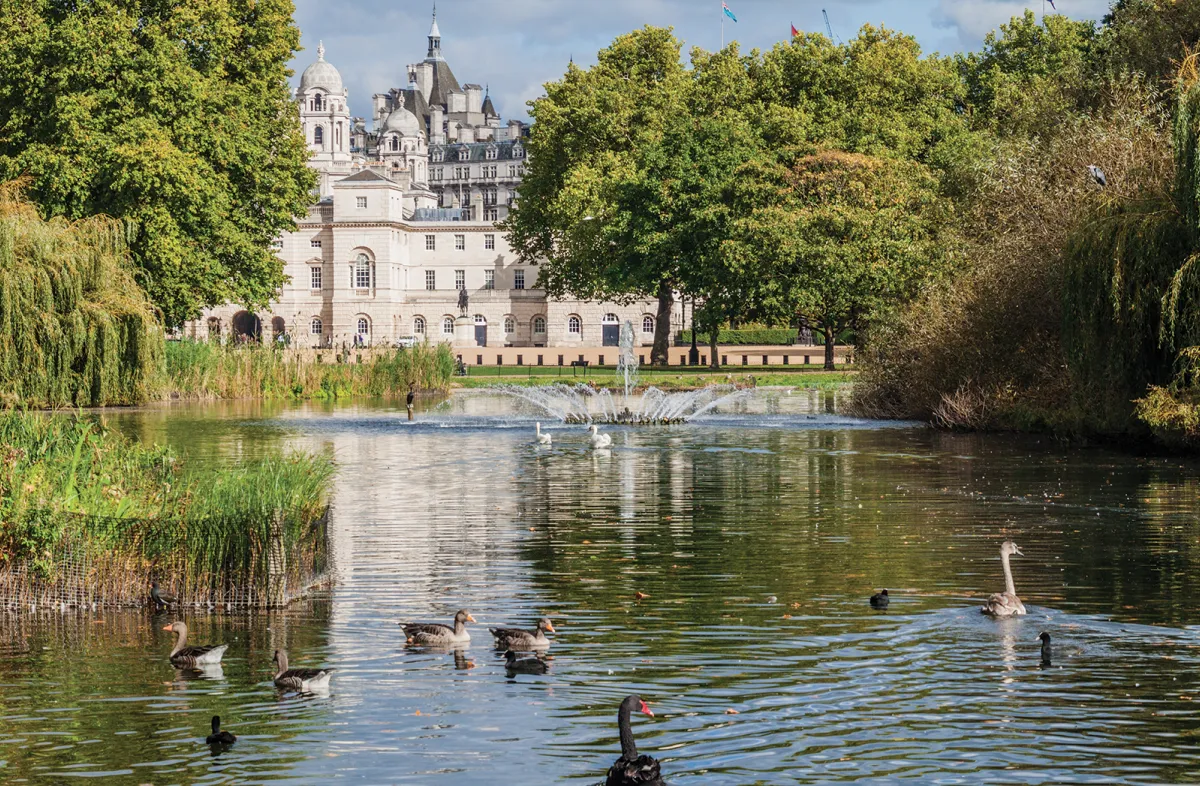 English pond in front of classic architecture